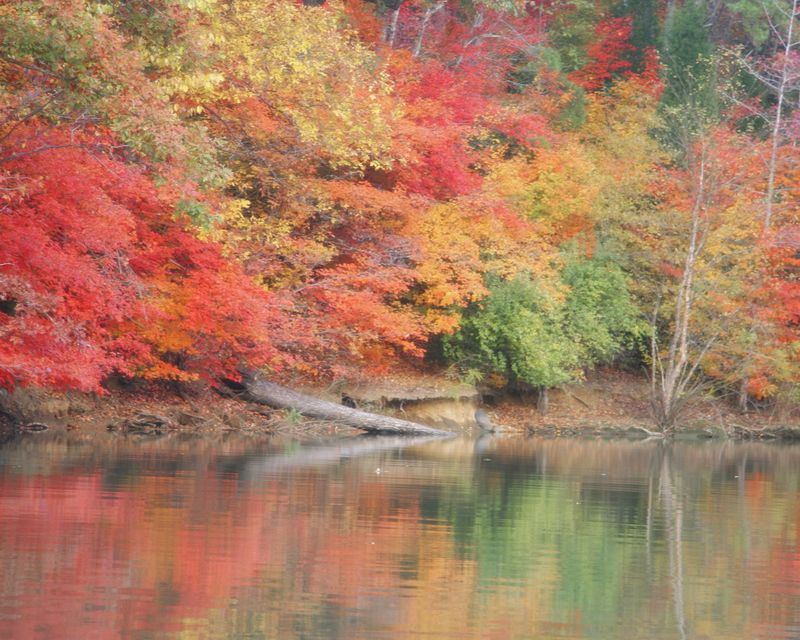 Trees in vivid red, orange and yellow autumn colour along a still lakeshore, reflected in the water.